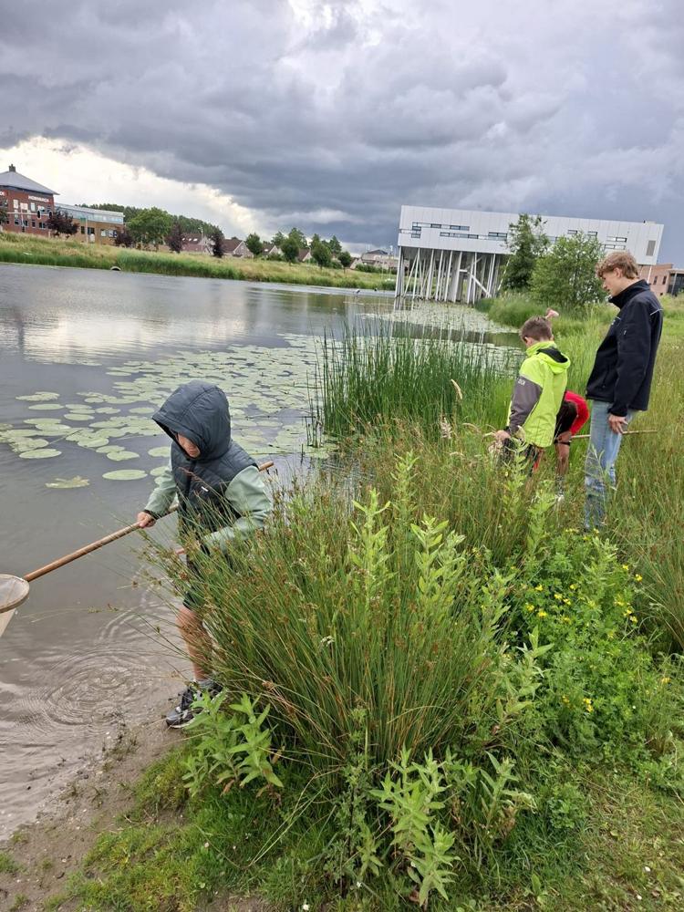 Kinderen met een schepnet aan de rand van de vijver